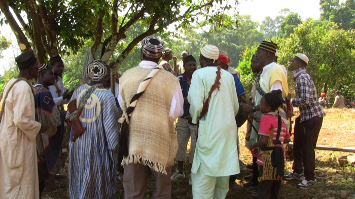 A group of men in traditional Nso ceremonial regalia gathered beneath a large tree during a ceremony in the Nso highlands, Cameroon.