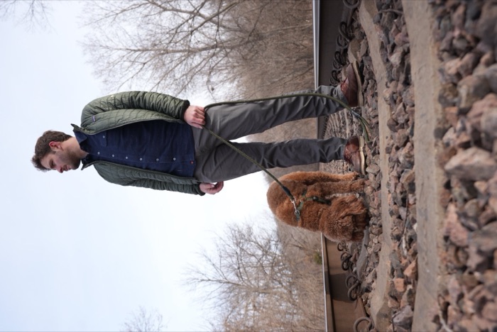 A man in a quilted vest walking a curly-coated dog on a leash along a gravel path lined with bare winter trees, face turned away.
